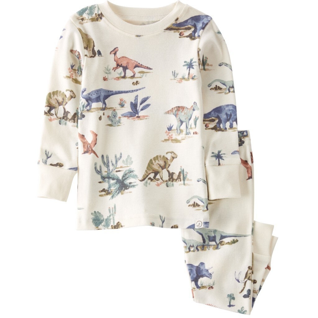 Carter's Baby Boys 2 Piece Dino Pajamas, Multicolor